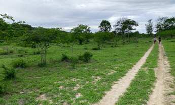 Imagem: Oportunidade única Fazenda à venda em