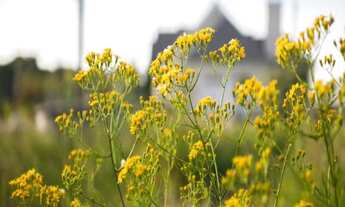 Imagem 5: RESIDENCIAL MONTEREY, 1000M² de Área Total