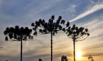 Imagem 4: RESIDENCIAL MONTEREY, 1000M² de Área Total