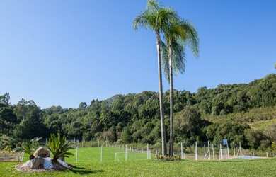Imagem 11: Terrenos para venda no Loteamento Reserva do Vale, em Caxias do Sul