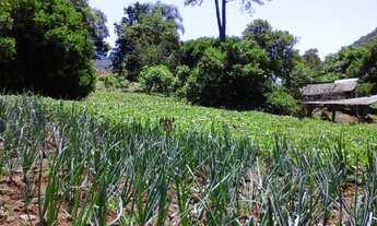 Imagem 5: Chácara 16 hectares para venda em Galópolis