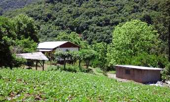 Imagem: Chácara 16 hectares para venda em Galópolis