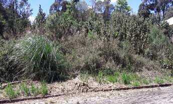 Imagem 2: Terreno para venda em Parada Cristal, 300m²