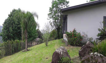 Imagem 3: CHÁCARA PARA VENDA EM LINHA FEIJÓ - CAXIAS DO SUL