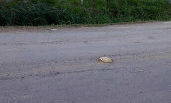 Imagem 3: CHÁCARA EM SANTA LÚCIA DO PIAÍ COM DUAS MORADIAS EM ALVENARIA - 01 HECTARE - ESCRITURADA