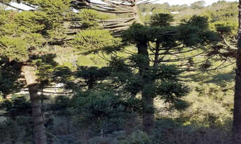 Imagem 5: Residencial Recanto do Sul - bairro Salgado Filho - Caxias do Sul