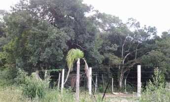 Imagem 2: Terreno Industrial PARA VENDA em São Giácomo - Caxias do Sul