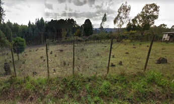 Imagem 3: ÁREA TERRA PARA VENDA EM LINHA FEIJÓ - 5,42 hectares