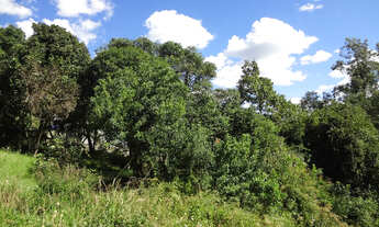 Imagem 6: TERRENO a venda na PERIMETRAL, com 852m² - bairro Mal. Floriano, em Caxias do Sul