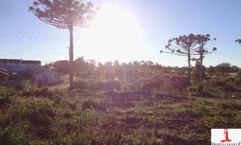 Imagem 4: Loteamento Reserva do Rizzo - terrenos para venda em Caxias do Sul