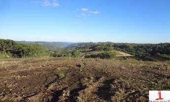 Imagem 6: Loteamento Reserva do Rizzo - terrenos para venda em Caxias do Sul