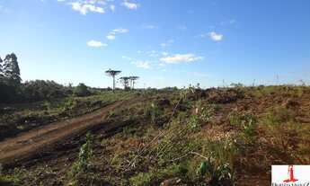 Imagem 7: Loteamento Reserva do Rizzo - terrenos para venda em Caxias do Sul