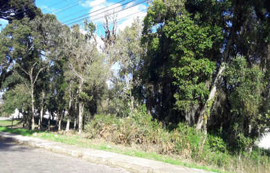 Imagem 4: Terreno 360m² para venda no bairro Planalto / Vila Verde, em Caxias do Sul