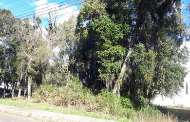 Imagem 6: Terreno 360m² para venda no bairro Planalto / Vila Verde, em Caxias do Sul
