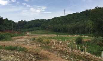 Imagem 4: Terreno a venda na Linha 40 em Caxias do Sul