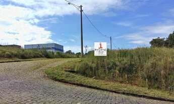 Imagem 4: Terreno a venda no São Luiz em Caxias do Sul