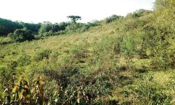 Imagem: ÁREA para venda - REGIÃO DALAGNO - Caxias