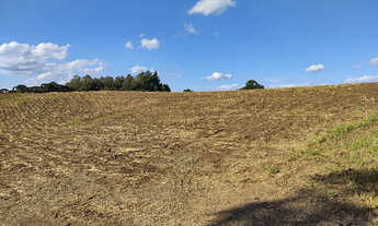 Imagem 6: ÁREA TERRA PARA VENDA EM FORQUETA - 15,18 hectares