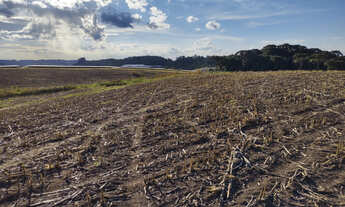 Imagem 2: ÁREA TERRA PARA VENDA EM FORQUETA - 15,18 hectares