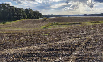 Imagem 4: ÁREA TERRA PARA VENDA EM FORQUETA - 15,18 hectares
