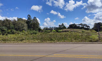 Imagem: ÁREA TERRA PARA VENDA EM FORQUETA - CAXIAS