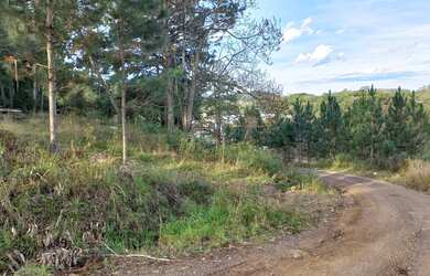 Imagem 5: ÁREA TERRA PARA VENDA AS MARGENS DA ROTA DO SOL - CAXIAS DO SUL - 20.000m²