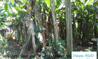 Imagem 5: Chácara 12,4 hectares para venda em Westfália