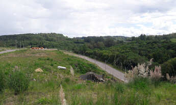 Imagem 3: Loteamento Vista Alegre - terrenos para venda em Caxias do Sul