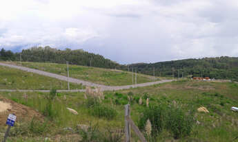 Imagem 4: Loteamento Vista Alegre - terrenos para venda em Caxias do Sul