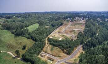 Imagem 7: Loteamento Vista Alegre - terrenos para venda em Caxias do Sul