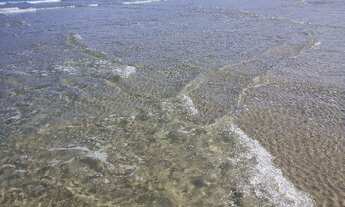 Imagem 5: 2000M² de Área Total