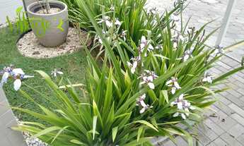 Imagem 4: RESIDENCIAL VILLAGE II - PRONTO PARA MORAR - 01 SUÍTE + 01 DORMITÓRIO - 01 VAGA PRIVATIVA