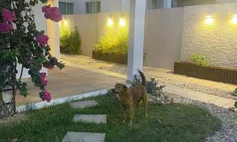 Imagem 2: CASA NO BAIRRO FAZENDINHA - 04 QUARTOS, SENDO 01 SUÍTE - COM PISCINA - ÁREA CONSTRUIDA 214