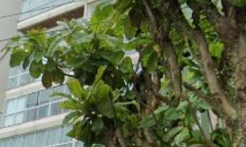 Imagem: RESIDENCIAL ALBANY - FRENTE MAR - APARTAMENTO