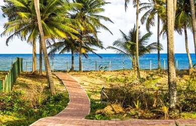Imagem 5: PRAIA DO FORTE - CONDOMÍNIO PISCINAS NATURAIS: Lotes nos condomínios: Tartarugas 630,00m2