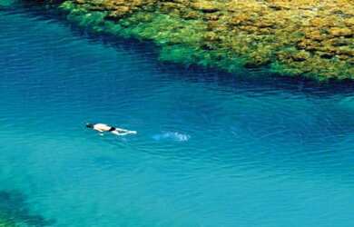 Imagem 7: PRAIA DO FORTE - CONDOMÍNIO PISCINAS NATURAIS: Lotes nos condomínios: Tartarugas 630,00m2