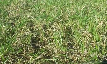 Imagem 7: TERRENO RESIDENCIAL em ARARUAMA - RJ, PRAIA SECA