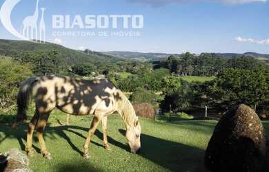 Imagem 4: Sítio à Venda Joaquim Egídio, Campinas