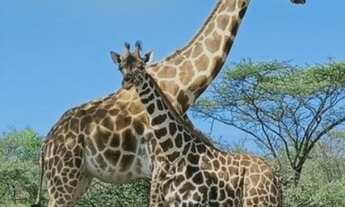 Imagem 5: Área para Venda Real Parque Dom Pedro I, Itatiba