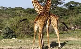 Imagem 4: Casa comercial para Locação Chácara da Barra, Campinas - Avenida Norte Sul em Campinas