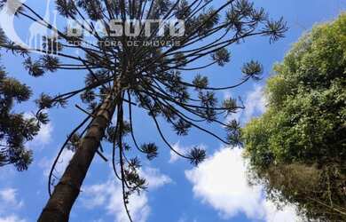 Imagem 16: Chácara para Venda Camanducaia MG