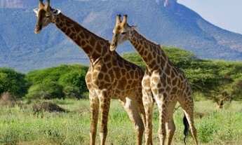 Imagem 7: Terreno residencial para Venda Jardim Soleil - Condomínio Florada da Mata