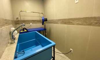 Imagem 3: 4 dormitórios na Rua 2028