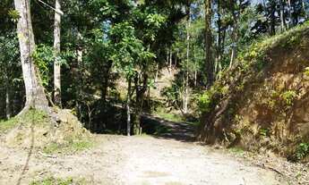 Imagem 5: 3 dormitórios na Rua Mata Atlantica