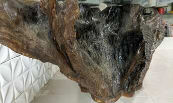 Imagem 3: 5 dormitórios, 4 suíte