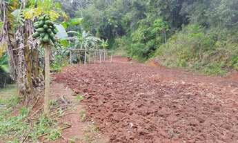 Imagem 2: 3 dormitórios na Rua Candido Jose