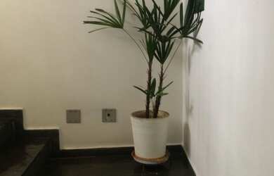 Imagem 4: PRÉDIO INTEIRO DE TRÊS ANDARES + SOBRADO - Venda ou Locação - Chácara Santo Antônio, S.P