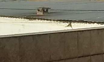 Imagem: Casa residencial para Venda Vila das Belezas