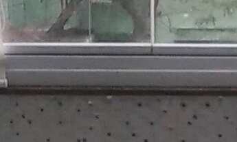 Imagem 5: Apartamento residencial para Venda - 55 m² útil- VILA CONSTANCIA, S.P. - 2 dormitórios, sa