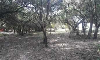 Imagem 3: SITIO RESIDENCIAL em SALTO - SP, ITAIM GUACU